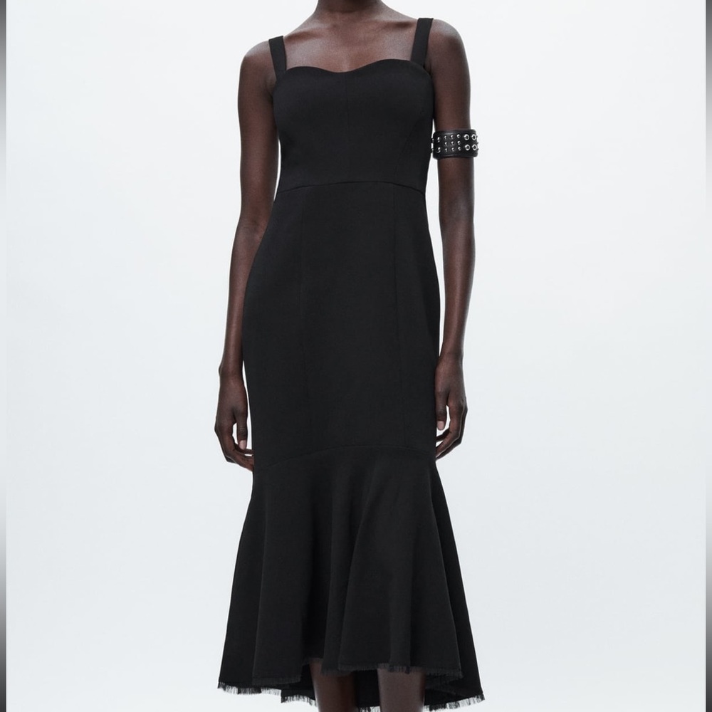 Zara dress